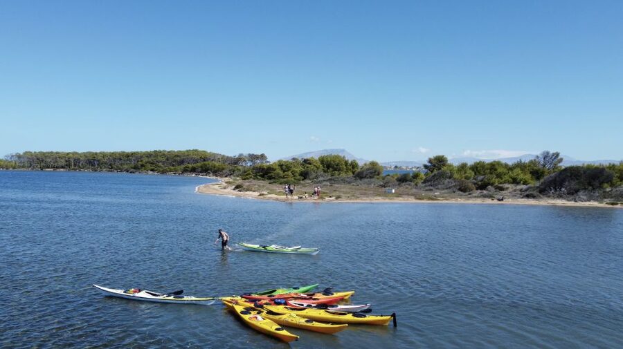 Marsala: Kayak Tour in Stagnone di Marsala Nature Reserve - Your guide experience, and why Maurizio gets noticed