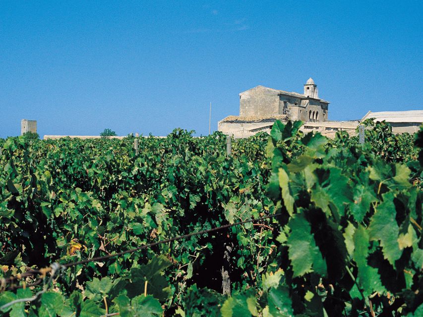 Marsala: Winery Tour with Wine Tasting and Local Products - Key Highlights I’d Prioritize