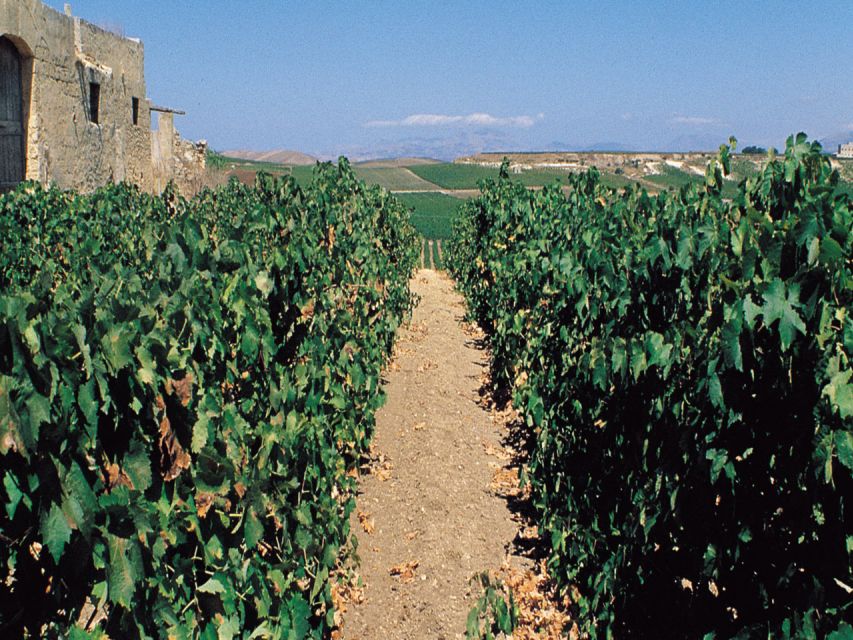 Marsala: Winery Tour with Wine Tasting and Local Products - Why This Marsala Winery Visit Works So Well in Real Life