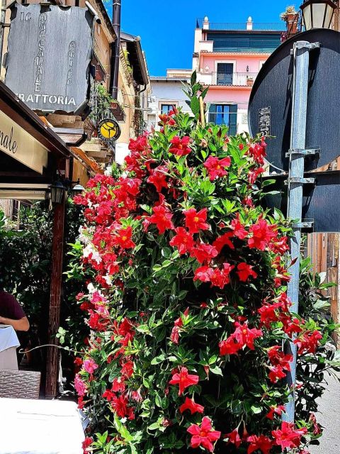 Messina, Savoca, Taormina e Castelmola - Price and what you get for $175.59 per person