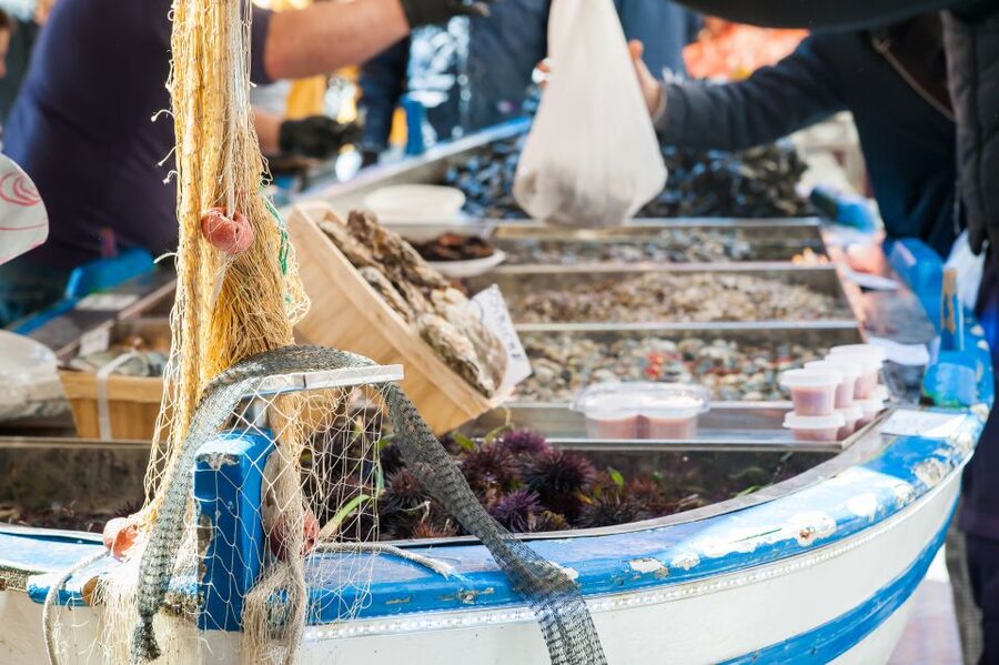 Messina: Share Your Pasta Love in Local's Home - Practical tips so the night goes smoothly