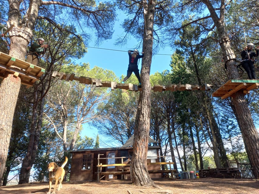 Monti Rossi Adventure Park Entry Ticket - Slackline, Nature Trail, and Picnic Time That Actually Helps