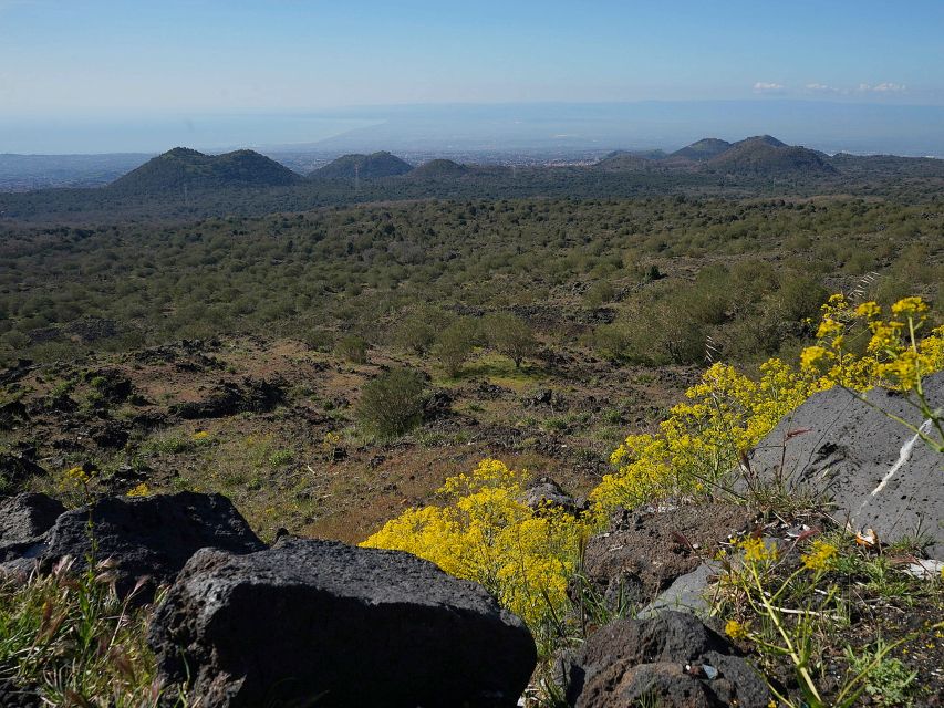Mount Etna: Half-day Morning Jeep Tour - What is not included: cable car, lunch, and water