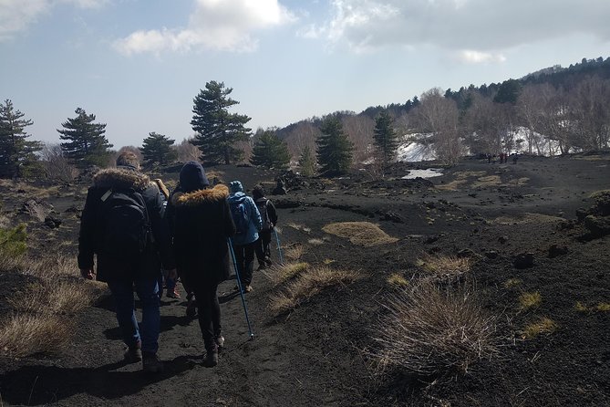 Mount Etna Half-Day Small Group Tour from Taormina - Seeing Lava Fields Up Close, Not Just From a Distance