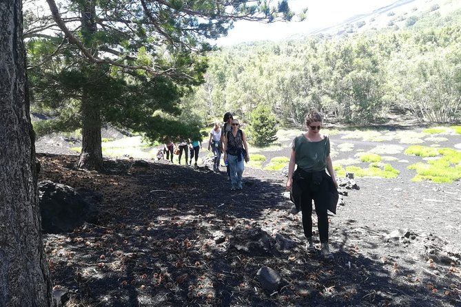 Mount Etna Half-Day Small Group Tour from Taormina - Refuel at the Mountainside Chalet: Sandwiches, Wine, and Almond Tasting