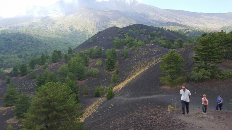 Mount Etna & Taormina Multi-language Tour from Palermo - Who should book this Mount Etna and Taormina tour
