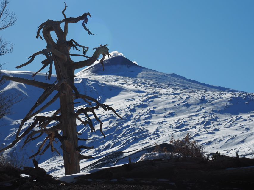 Mount Etna: Trek to the Craters of The 2002 Eruption - Entering the world of Etna’s 2002 eruption fault line