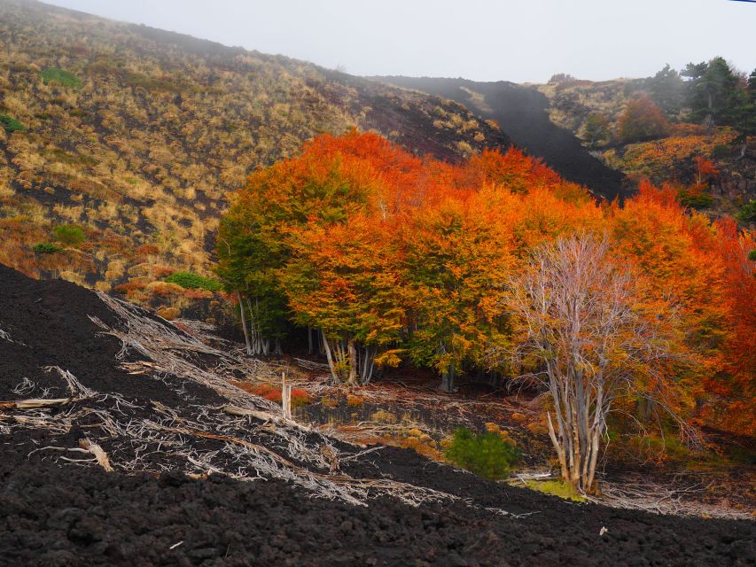 Mount Etna: Trek to the Craters of The 2002 Eruption - Views from the top: Bay of Naxos and Calabria in one sweep