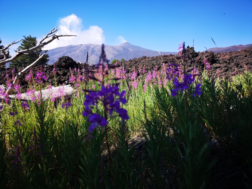 Mount Etna: Trek to the Craters of The 2002 Eruption - Who this Etna Craters trek suits best