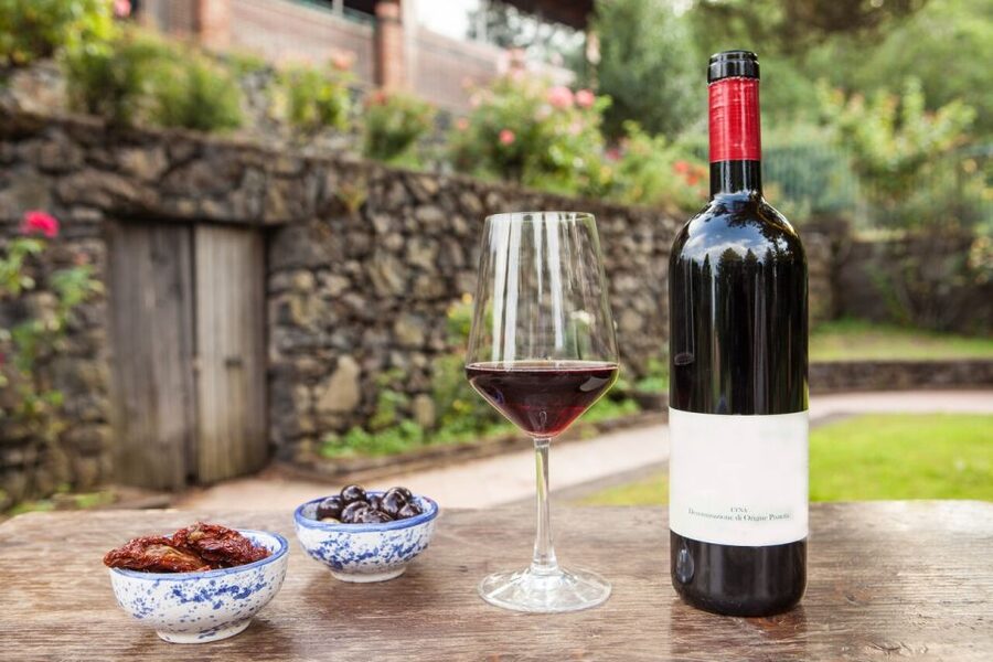 Mount Etna: Winery Tour and Tasting - Your 2-Hour Plan, From Welcome Toast to Cannolo