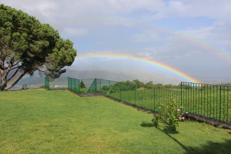 Mount Etna: Winery Tour and Tasting - Price and Value: How $72 Holds Up With Real Food