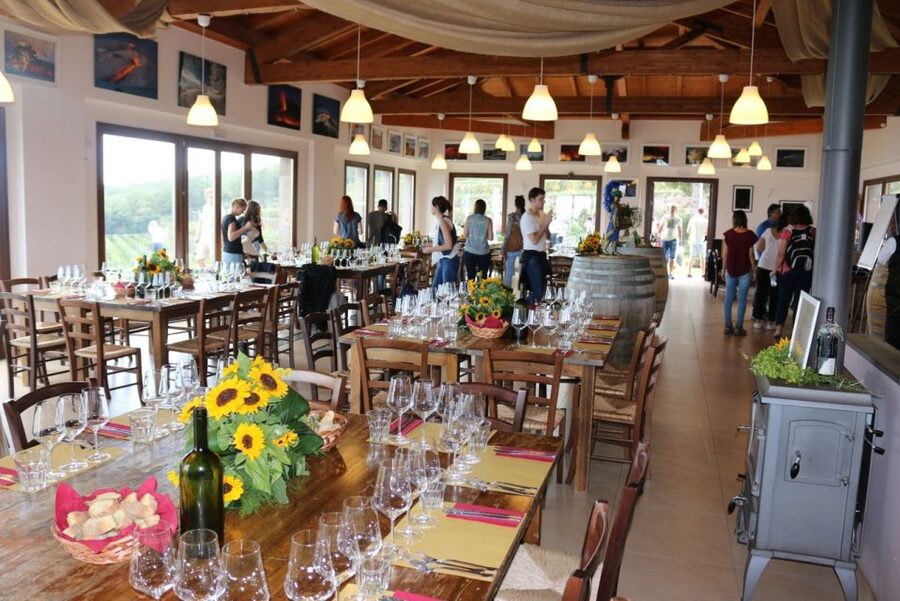 Mount Etna: Winery Tour and Tasting - The Winery Walkway: Barrels, Basics, and Pairing Logic