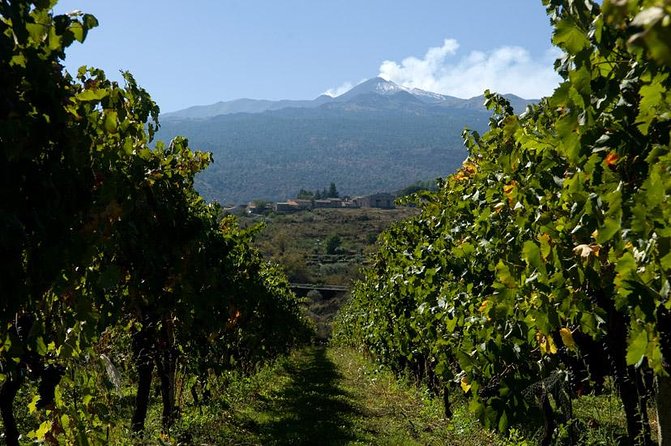 Mt Etna and Wine tasting tour from Catania - Grotta dei Tre Livelli: the lava cave moment you will remember