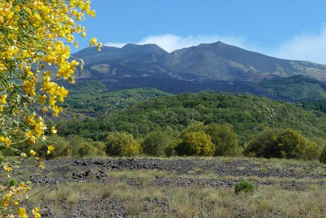 Mt. Etna nature and flavors half day Tour from Catania - Optional 2,900m upgrade: when it’s worth paying extra