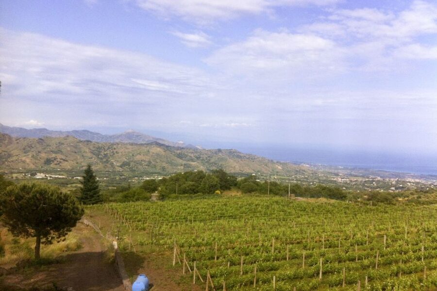 Mt. Etna Private Tour with Food and Wine Tasting - Why Mt. Etna Feels Different From Any Regular Volcano Stop