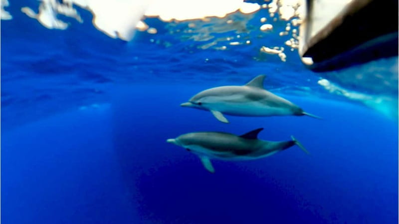 Naxos: Taormina Boat Tour with Snorkeling and Prosecco - The caves, and how to photograph Grotta dell’Amore and the Blue Grotto