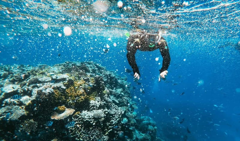 Naxos: Taormina Boat Tour with Snorkeling and Prosecco - White Lotus filming locations, seen from the water