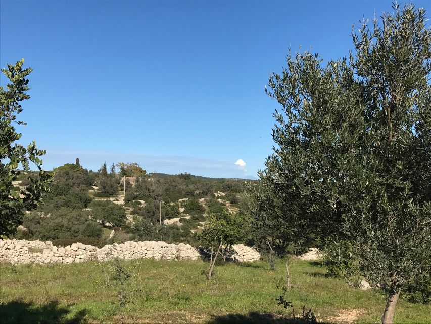 Noto: Farm to Fork in Sicily - Cooking Class in a Farm - Group Size, Language, and How the Class Runs
