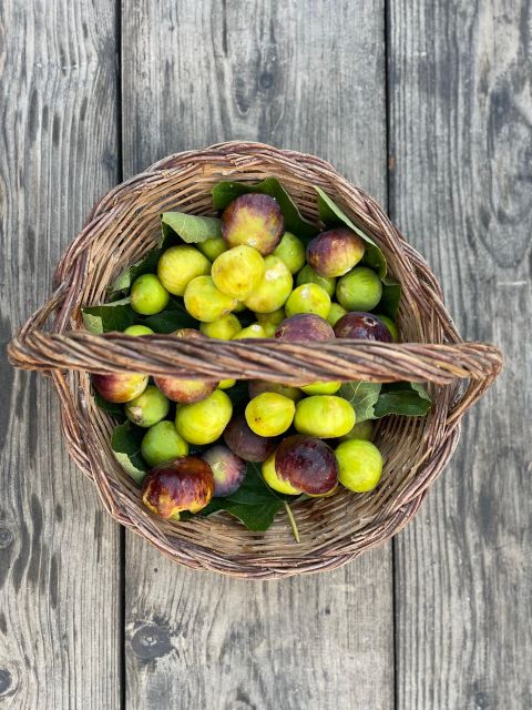 Noto: Farm to Fork in Sicily - Cooking Class in a Farm - A Short Walk in the Fields, With Real Explanations