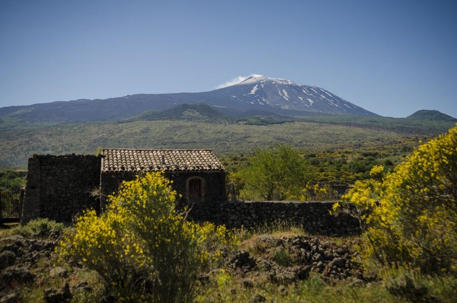 Old Sicily and Etna wine tasting tour from Taormina - Taormina Pickup and the Air-Conditioned Ride Along Etna’s Base