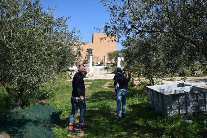 Olive Oil Experience - Inside the House: Professional Tasting and the Label-Learning Moment
