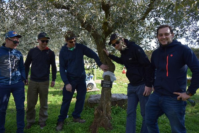 Olive Oil Experience - Lunch Pairing in the Country: Sicilian Starters and Busiate Pasta