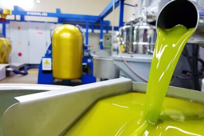Olive Oil Tasting & Historic Olive Mill Tour in Ragusa area