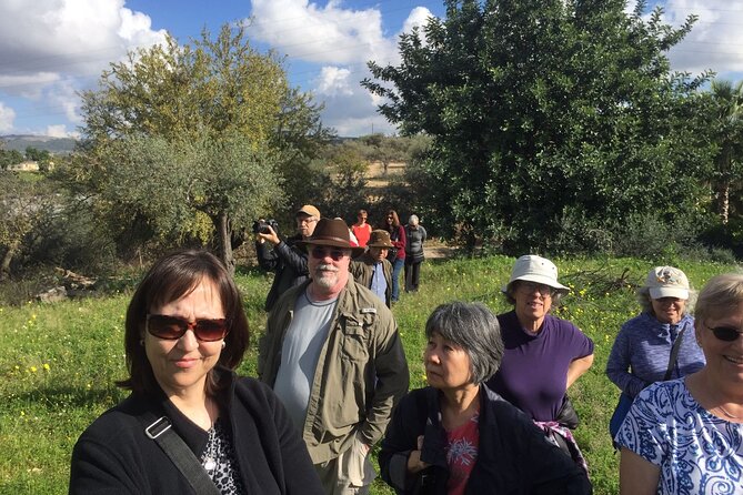 Olive Oil Tasting & Historic Olive Mill Tour in Ragusa area - October live processing: what you should expect when it is harvest season