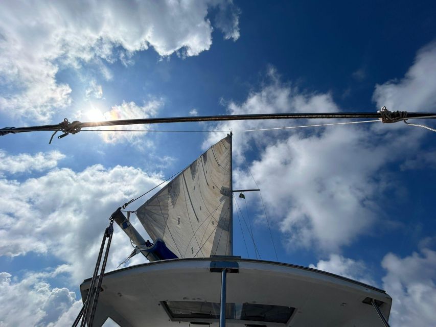Palermo: Full-Day Snorkeling Boat Tour with Lunch and Wine - Why a Marine Biologist Snorkeling Day Beats a Random Swim in Palermo