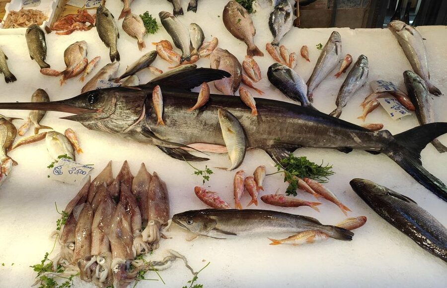 Palermo: Guided Food and Culture Tour with Tastings - The Market Feeling and Why It Matters