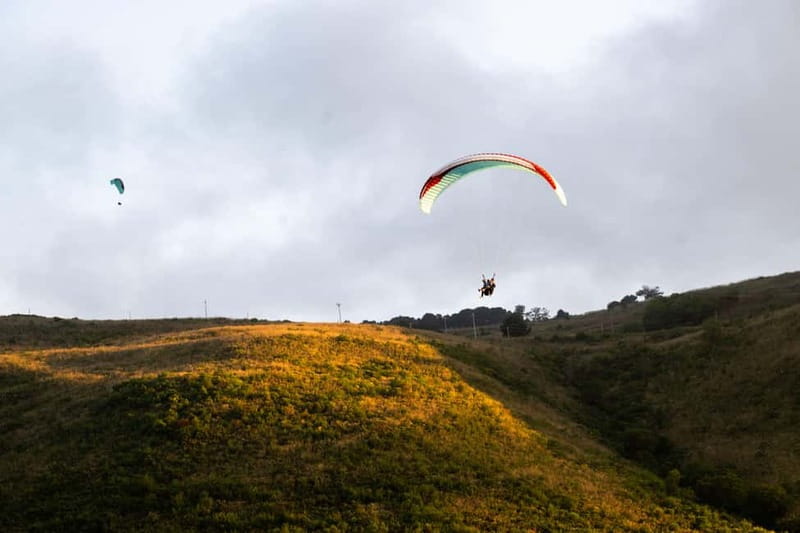 Palermo: paragliding flight with instructor foto and video - Over Zingaro, Mountains, and the Mediterranean: What You Will See
