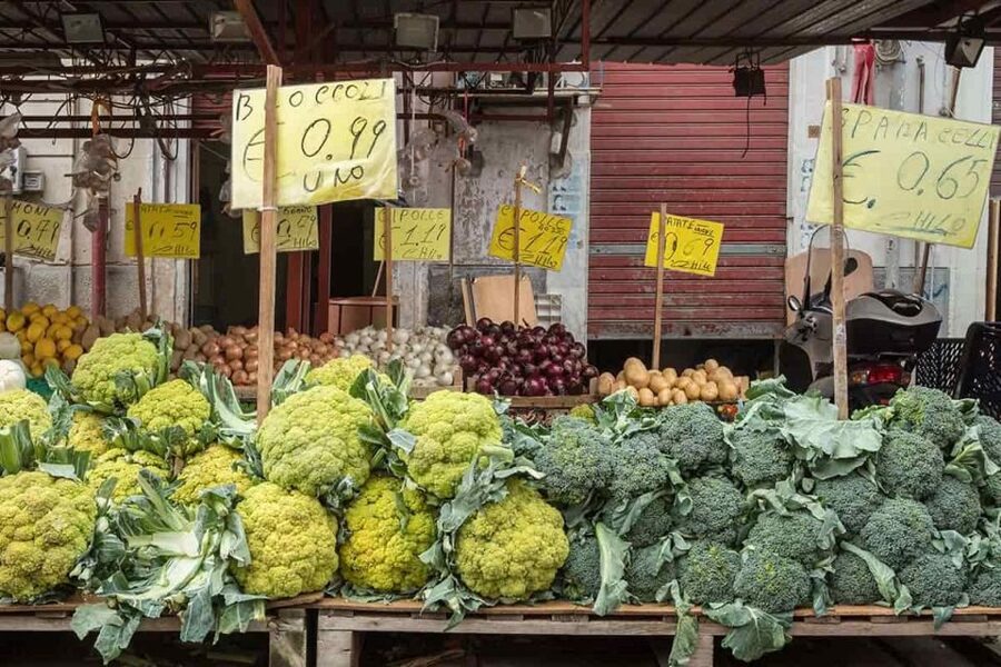 Palermo: Street Food Tour in Ballarò and Vucciria Markets - Piazza Marina and the Cathedral Area: Getting Sights Without Turning It Into a Sights Tour
