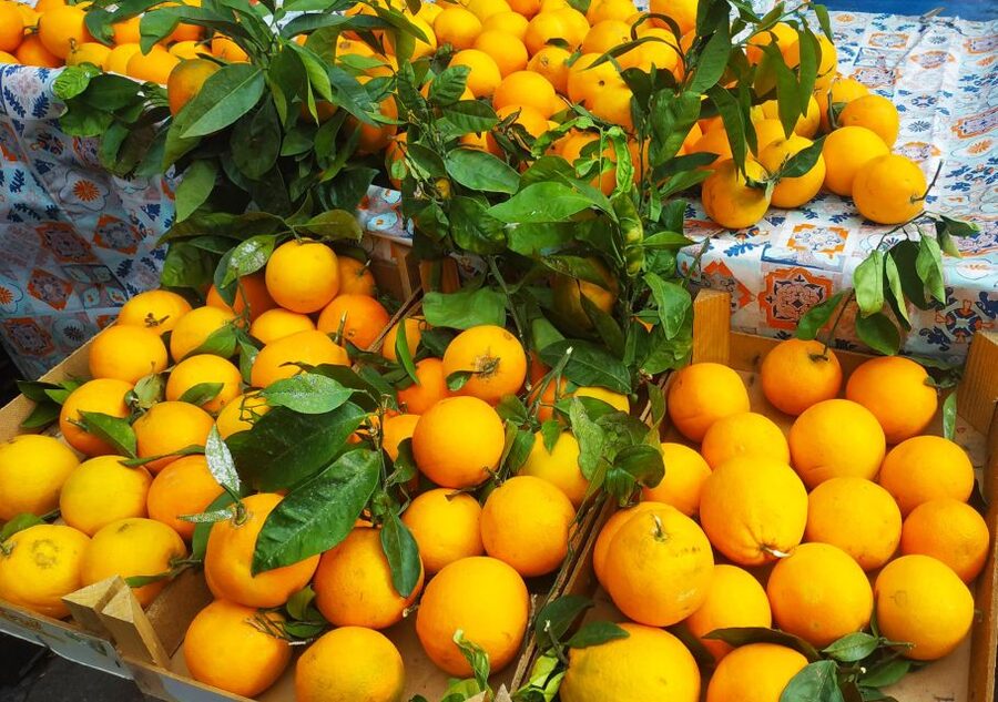 Palermo: Street Food Walking Tour with Local Guide & Tasting - Key things that make this tour worth your time