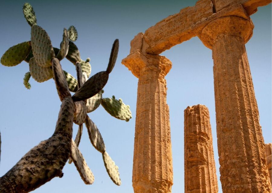 Palermo to Siracusa: stop al Valley of Temples & Roman Villa - Practical tips to make the most of the day