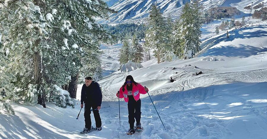 Piano Provenzana: Guided Mt. Etna Snowshoeing Trek - Key highlights you will feel fast
