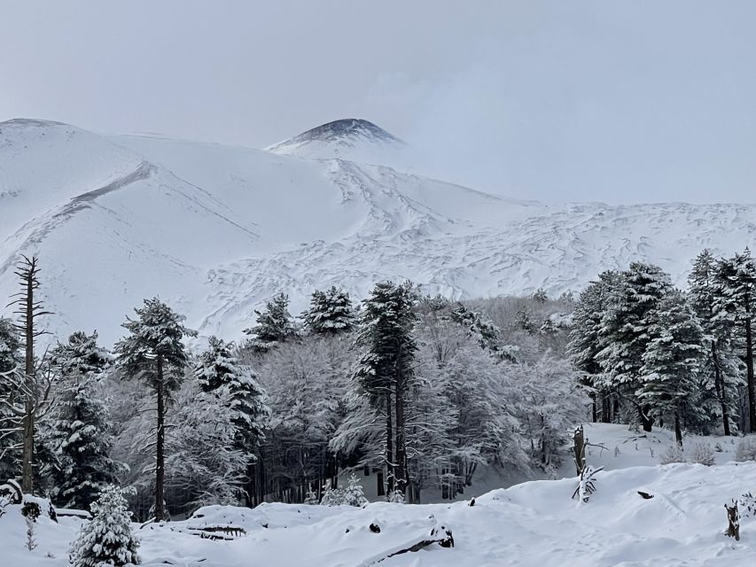 Piano Provenzana: Guided Mt. Etna Snowshoeing Trek - Crossing the lava scars: snow over volcanic history