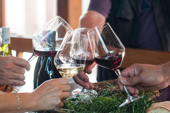 Private 6-Hour Tour of Three Etna Wineries with food&wine tasting - The Day with Your Driver-Guide, Snacks, and Timing