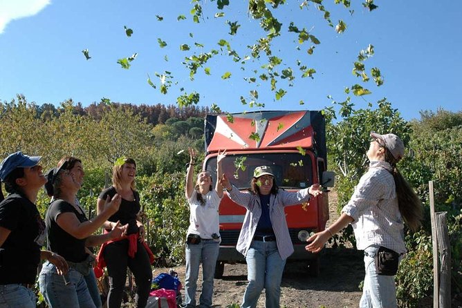 Private 6-Hour Tour of Three Etna Wineries with food&wine tasting - Price and What You Actually Get for $375