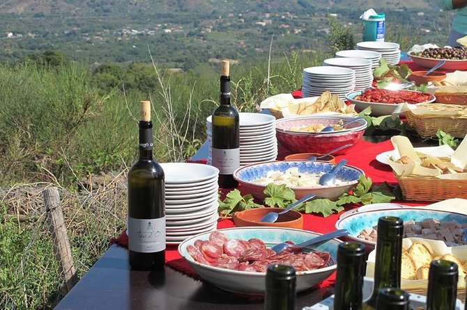 Private 6-Hour Tour of Three Etna Wineries with food&wine tasting - Who Should Book This and Who Might Skip It