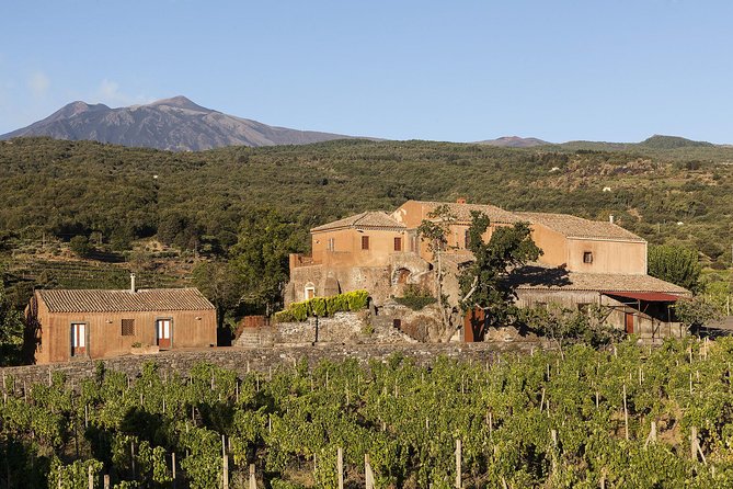Private 6-Hour Tour of Three Etna Wineries with food&wine tasting - Should You Book This Private Six-Hour Etna Wine Tour?