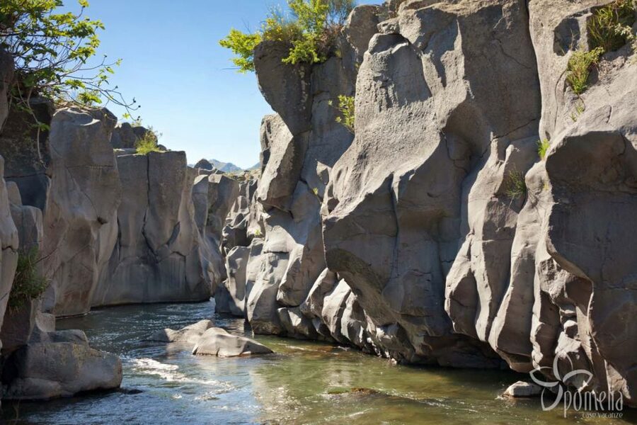 Private Tour of Alcantara Gorges. Including Food and Wine - The 4-hour flow: pickup to gorges, then Giardini Naxos wine