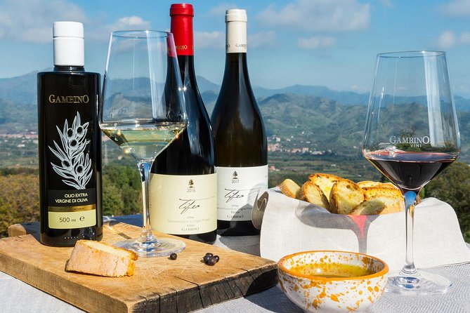 Private tour of Etna and Winery Visit with Food and Wine Tasting from Taormina - Private Pickup From Taormina, Then Straight Up the Volcano