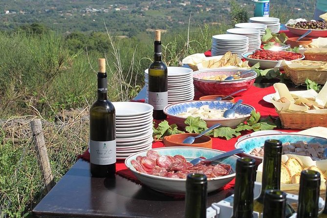 Private tour of Etna and Winery Visit with Food and Wine Tasting from Taormina - What to Pack for a Volcano Day (and Why It Matters)