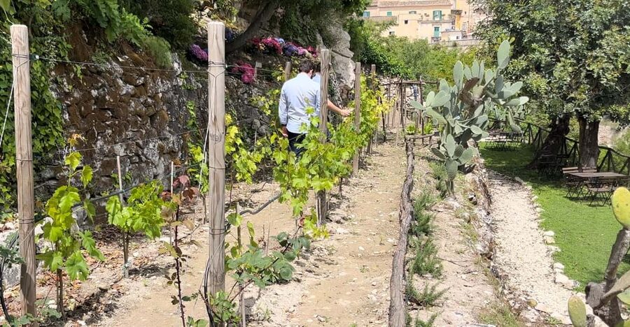 Radici: IImmerse yourself in the heady scents of our garden - Ragusa Ibla’s Aromatic Garden, a Short Walk from the UNESCO Sights