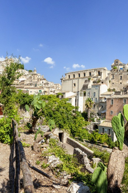 Radici: IImmerse yourself in the heady scents of our garden - Timing, Weather, and What to Wear