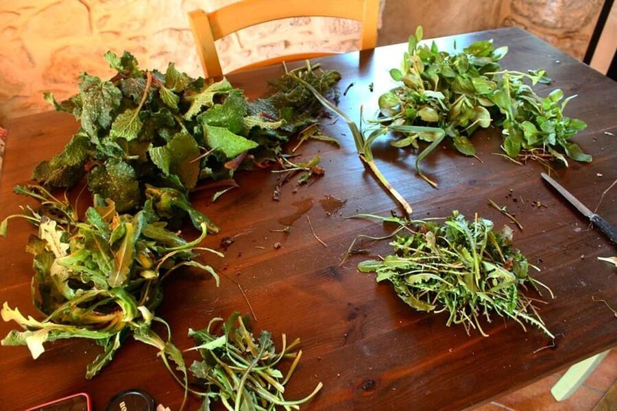 Ragusa Countryside Home Cooking Class & Meal - Cooking in Chiaramonte Gulfi’s Olive-Tree Countryside