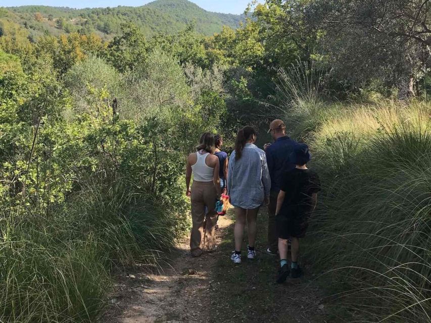 Ragusa Countryside Home Cooking Class & Meal - Your 4.5 Hours, From Garden Collecting to Cannoli