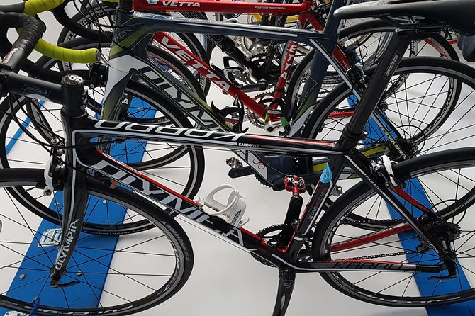 Rent road bike - Why a full-day road bike rental is a smart way to see Palermo