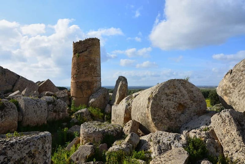Selinunte: Archeological Park Entry Ticket & App Audioguide - Selinunte’s ruins feel like an ancient city, not a quick stop
