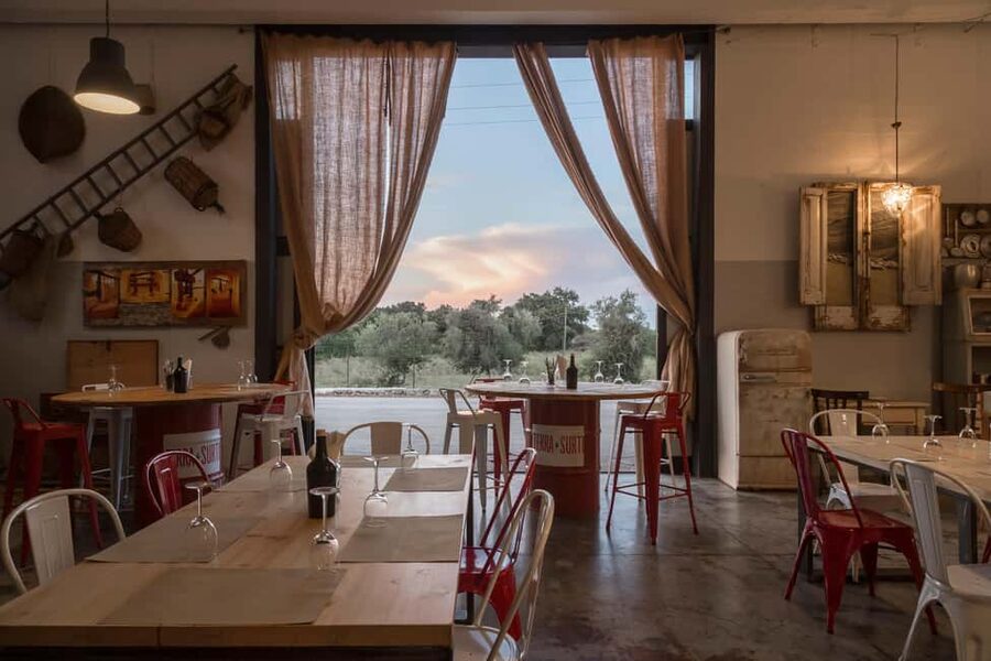 Sortino: Olive Oil tasting with Sicilian Products and Wine - The VR Olive Harvest and Production Stages, Explained Without Being Boring